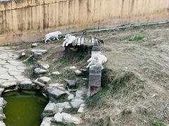 -宁波野生动物园