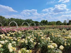 -石家庄市植物园