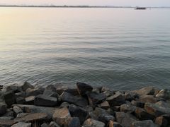 -瑶湖郊野森林公园