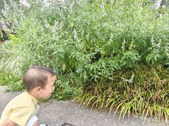 -黄公望隐居地