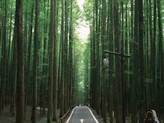 -山王坪喀斯特国家生态公园