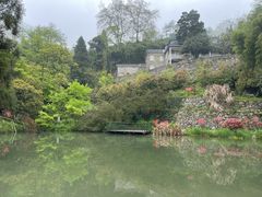 -莫干山风景区