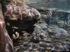 -上海海洋水族馆