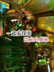 -恐龙探索乐园(磁器口店)