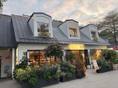 -花神·轻食简餐·咖啡馆·花卉绿植(荷兰花卉小镇店)