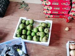 -南汇新场正宗水蜜桃采摘