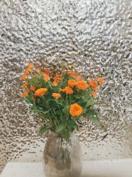 -丝念美发·专注烫染