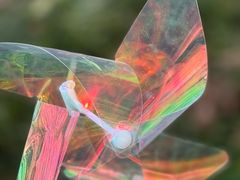 -高东镇樱花园