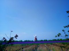 -漩门湾国家湿地公园