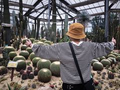 -华南国家植物园-售票处