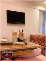 -中国福利会国际和平妇幼保健院(徐汇院区)