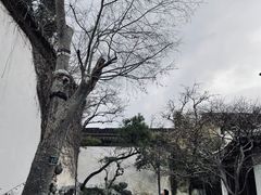 -艺圃
