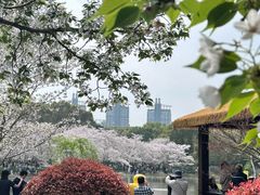 -潮府馆·非遗潮州菜·世纪公园(新国际博览中心店)