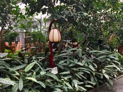 -汤山翠谷生态餐厅