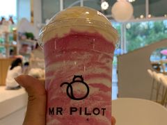 -飞行喵MR PILOT|猫舍·猫咖(静安大融城店)