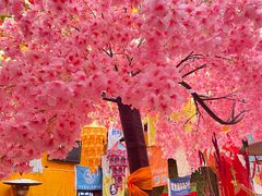 -吉祥圣雪藏餐