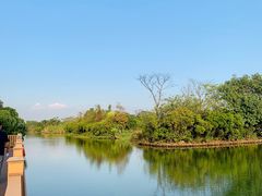 -大湾区中央湿地公园