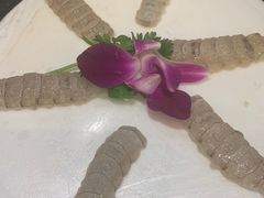 -草鱼先生潮州鱼生·虾生(新厦花园店)