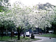 -成都中医药大学(温江校区)