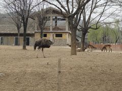 -石家庄市动物园