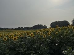 -苏州湾体育公园