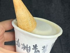 油柑青苹果-歎雪糕低糖低脂Gelato冰淇淋