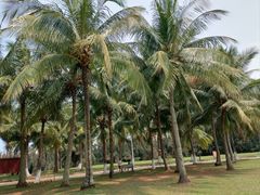 -白沙门生态公园