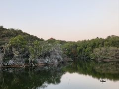 -广州莲花山旅游区