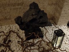 -沈阳国际皇冠假日酒店-Izakaya居日餐厅