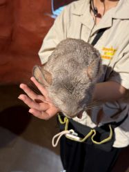 -Zoolung Zoolung动物主题公园(海信广场店)