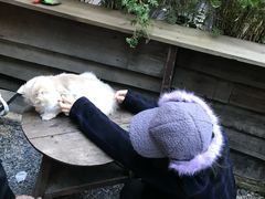 -WABI COFE(愚园路店)