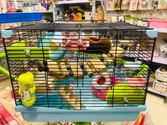 -钓仓鼠(洋桥北里小区店)