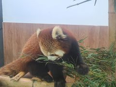 -无锡动物园·太湖欢乐园