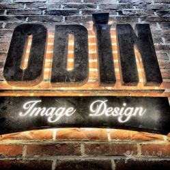 -ODIN 奥丁形象设计 