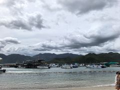 -珊瑚岛