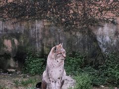 -宁波野生动物园