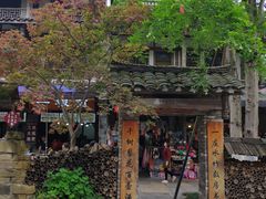 -黄龙溪古镇