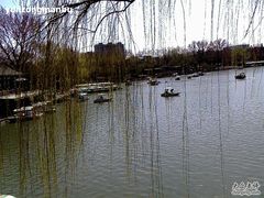 -紫竹院公园冰场