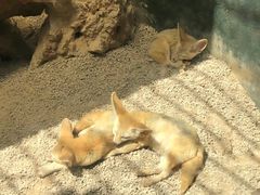 -昆明动物园