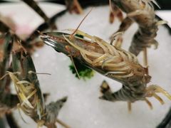 -红鼎豆捞·非遗鲍皇汤火锅(宝丰路店)