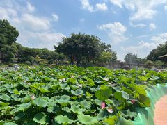 -广州莲花山旅游区