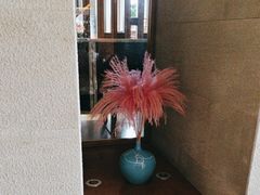 -浅深Cheersum(曹杨店)