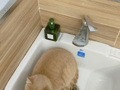 -爱侣宠医·鹦鹉专科·小型哺乳类·异宠专科(灵石路店)