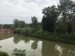 -白鹭湾湿地公园