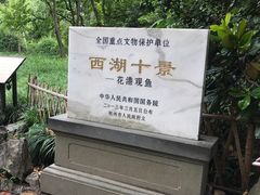 -西湖外事游船(花港观鱼码头)