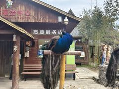 -呀路古热带植物园