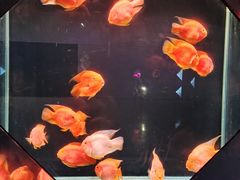 -海合安天津极地海洋公园