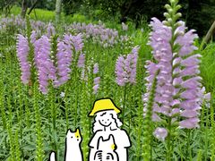 -白鹭湾湿地公园