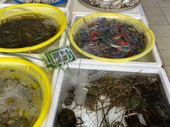 -板桥海鲜广场(文明东店)