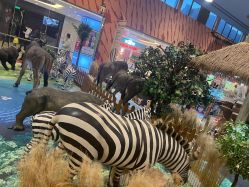 点击看大图 -卡通尼·Safari非洲探索乐园·生日会(金桥国际商业广场店)